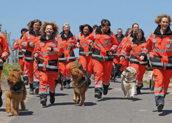 Helden auf vier Pfoten!
