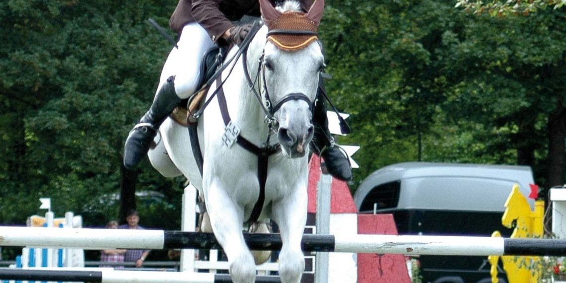 Pfingst – Reitturnier in Nordheim