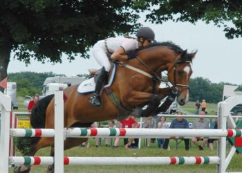 400 Meldungen für das Reitturnier in Brackenheim