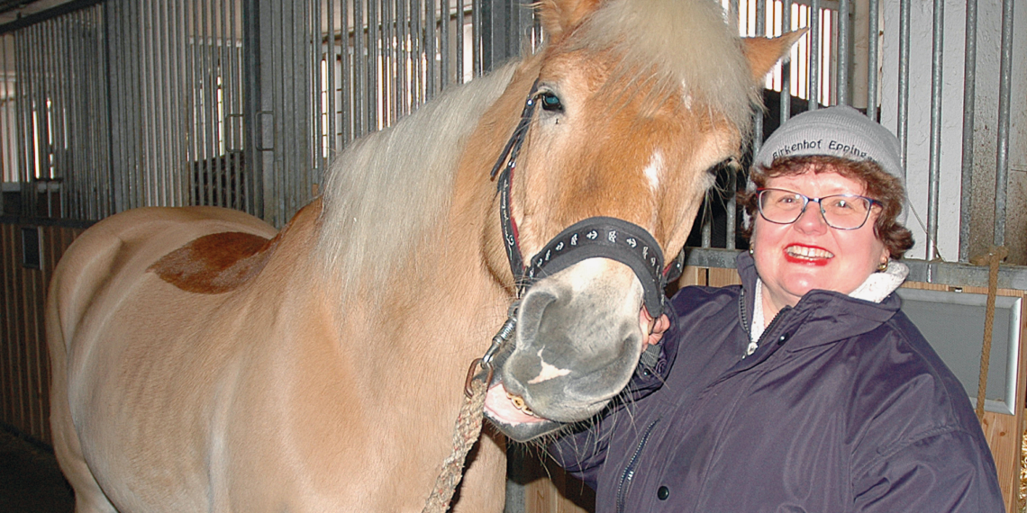 Steuerberatung und Spaß mit Nemo